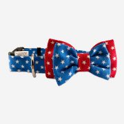 Collier Super Dog