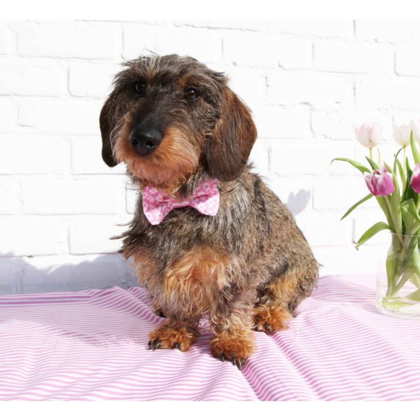 Collier Sugar Pink