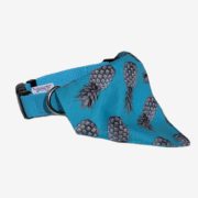 Collier Woofstock Ananas Fever