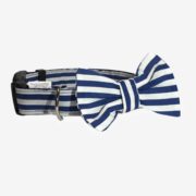 Collier Navy