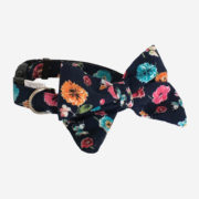Collier Charlie Blue