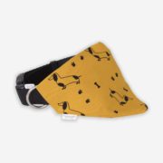 Collier Teckel Jaune