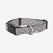 collier pour chien noir et blanc