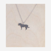 Collier Border Collie
