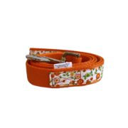Laisse Orange Bliss