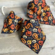 Foulard Citrouille