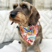 Foulard Boho