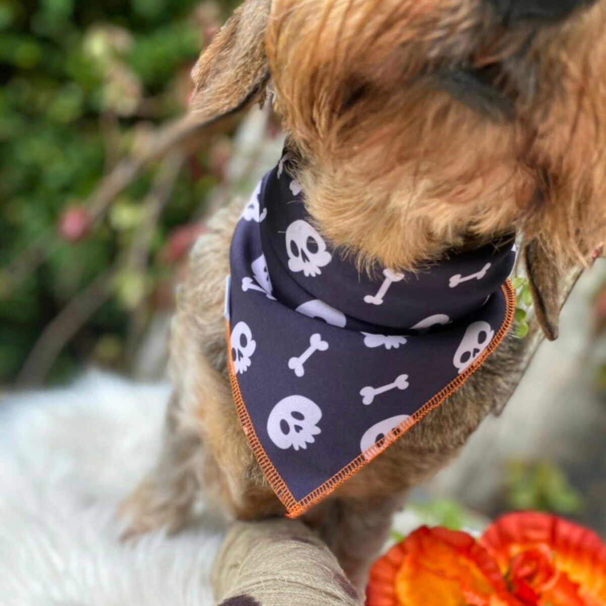 Foulard tête de mort – Image 3