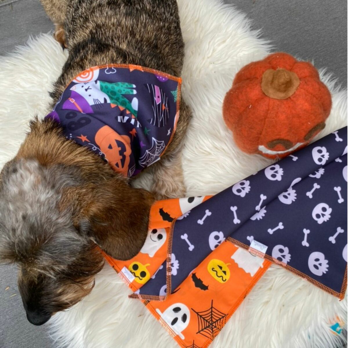 Foulard tête de mort – Image 4