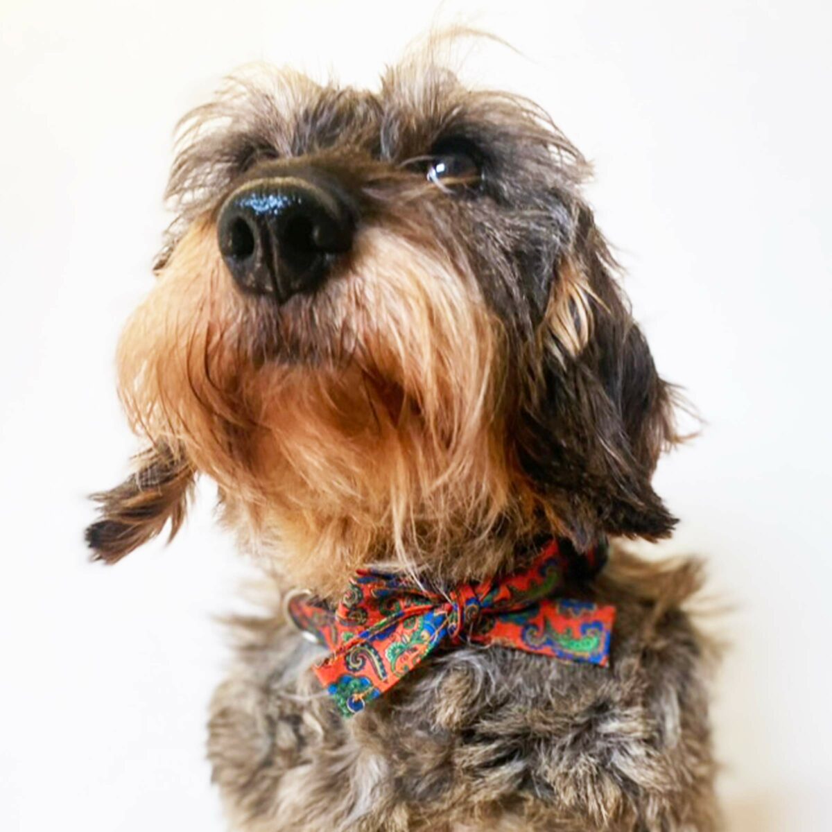 Collier Bombey Orange – Image 2