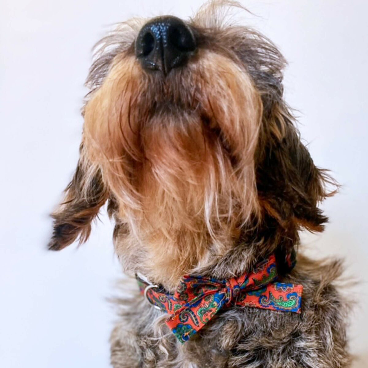 Collier Bombey Orange – Image 5