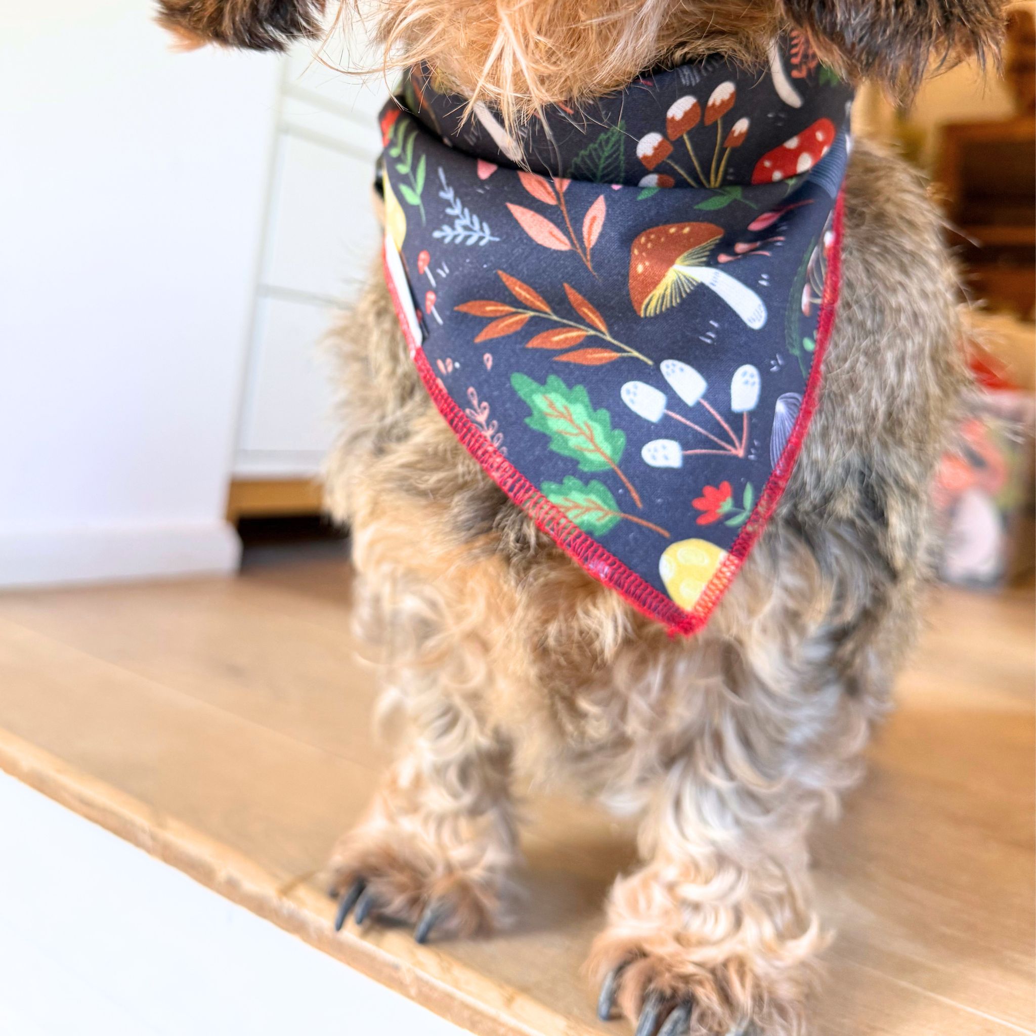 Foulard Automne – Image 3
